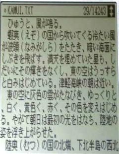 ��ʃL���v�`��